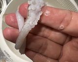 三杯小卷的食譜步驟1照片