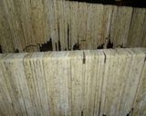 Foto del paso 6 de la receta: Fideos caseros de estragón