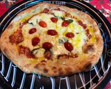 Foto do passo 3 de 223-Massa de pizza dough
