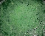 A picture of step 2 of Green Lemonade.