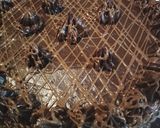 Pas rețetă Tort cu blat de nucă și cremă de ciocolată 12 fotografie