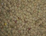 Foto del paso 1 de la receta: Lentejas con zanahoria