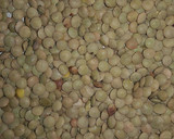 Foto del paso 1 de la receta: Lentejas con zanahoria