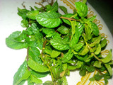 Mint Tea