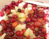 A picture of step 5 of Belgian pear and cranberry compote.