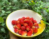 Hình bước làm 3 của món Dâu Tây Lắc Muối Ô Mai
