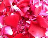 Hình bước làm 2 của món Bột hoa hồng