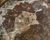 Foto del paso 3 de la receta: Frijoles encordados