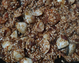Foto del paso 6 de la receta: Arroz con marisco 2