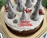 Foto del passaggio 7 della ricetta Torta di Natale con Camy Cream alla Ricotta