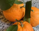 Une image de l'étape 4 de 🪹🍁Velouté carotte 🥕 🍊 orange 🍊 cannelle 🪵🍂.