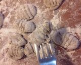 Foto del paso 7 de la receta: Ñoquis de Hongos