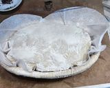 عکس مرحله 8 از دستور نان روستیک یا کلاسیک خمیر ترش 🥯