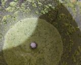 A picture of step 1 of Raggi roti.