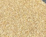 A picture of step 2 of Dal mash ladoo / urad dal laddu.
