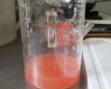 葡萄柚氣泡飲的食譜步驟3照片