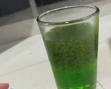 A picture of step 3 of Qucie with basil seed.