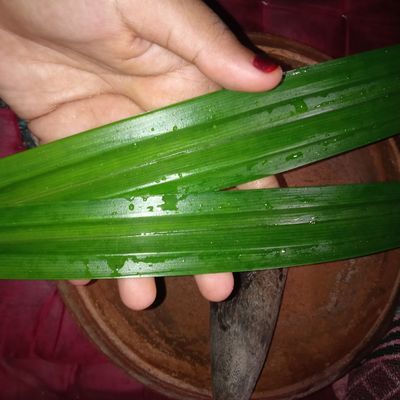 Langkah 1