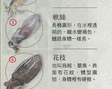 海鮮馬鈴薯餅的食譜步驟6照片