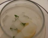 Mint lemonadematakin girki4 hoto