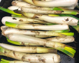 Foto del paso 2 de la receta: 269. Calçots al horno con salsa romesco (entrante verdura)