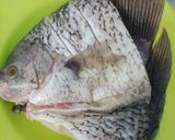 Foto langkah ke 1 dari resep Gurame siram tumis cabe hijau.