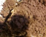 A picture of step 3 of Coconuts dates bites.