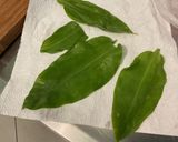 Une image de l'étape 1 de Sauce salade à l'ail des ours.