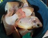 Foto langkah ke 1 dari resep Sup Ikan.