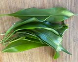 A picture of step 1 of Wild garlic pesto 💚.