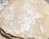 Foto del paso 3 de la receta: Rollitos de masa filo crocante rellenos