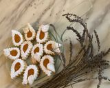 Une image de l'étape 10 de 🎁Sablés à la confiture d’orange 🍊 amère 🎉.