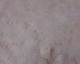 A picture of step 3 of Aloo ka paratha.