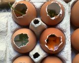 Une image de l'étape 4 de Les œufs 🥚 de Pâques 🥳fêtent l’apéritif 🌶️🥕🥗.
