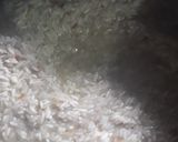 Foto del paso 2 de la receta: Arroz a la pobretona
