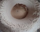 Foto del paso 1 de la receta: Pan integral