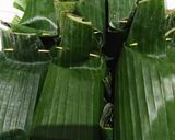 Foto langkah ke 7 dari resep 48. Nasi Gegok Ikan Salem.