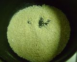 A picture of step 1 of Sesame Seeds & Coconut Phirni.