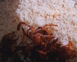 A picture of step 22 of Chicken Tikka Biryani.