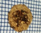 Foto del paso 4 de la receta: Cookies de avena y chocolate muy fáciles ;)
