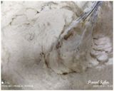 A picture of step 5 of Rava Tutti-fruiti Cake.
