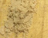 Foto del paso 3 de la receta: Manteca de maní casera