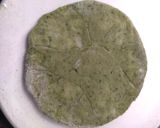 A picture of step 4 of Spinach Potato Paratha.