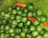 Foto langkah ke 3 dari resep Ulukutek oncom leunca kemangi..
