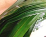 Hình bước làm 1 của món 🌱 Nước Cốt Lá Dứa Nguyên Chất Màu Đẹp & Không Bị Đắng