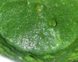 A picture of step 2 of Green chutney Aloo.
