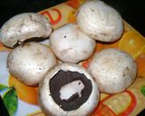 Foto del paso 1 de la receta: Hongos rellenos con quesos (3 variantes)