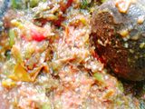 Sambel Kecambah