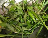 Hình bước làm 2 của món Tuần 3: Dưa bắp cải muối chua