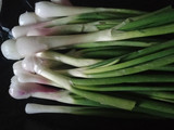 લીલી ડુંગળી નુ શાક(Green onion Shaak Recipe in Gujarati)